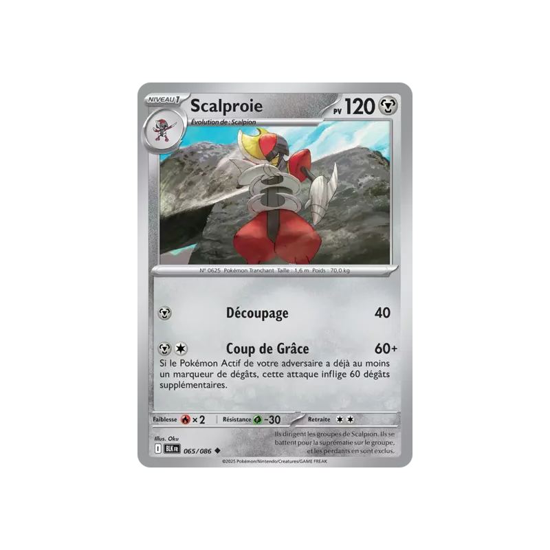 Scalproie BLK - 065/086