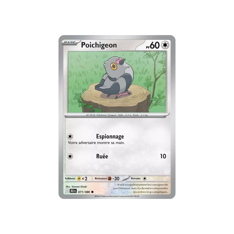 Poichigeon BLK - 071/086