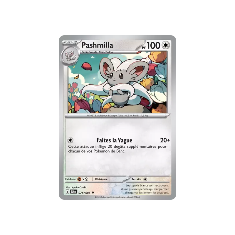 Pashmilla BLK - 076/086