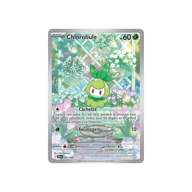 Chlorobule BLK - 091/086