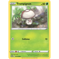 Trompignon SIT - 011/195
