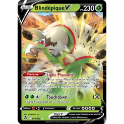 Blindépique V SIT - 015/195