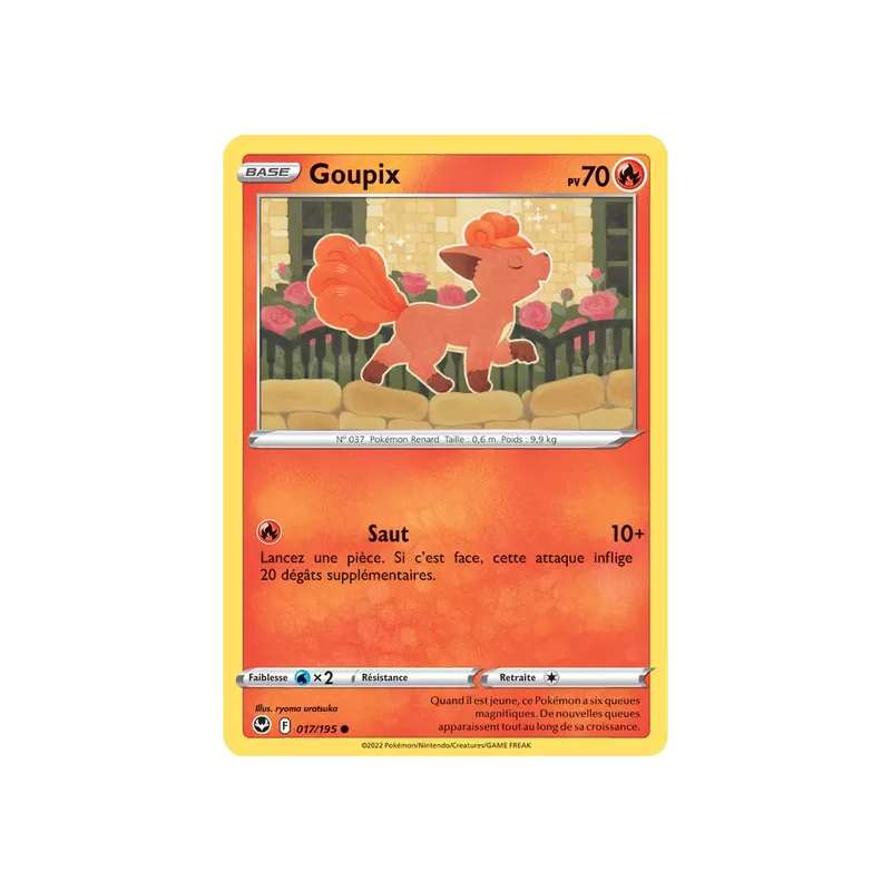Goupix SIT - 017/195
