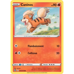 Caninos SIT - 019/195