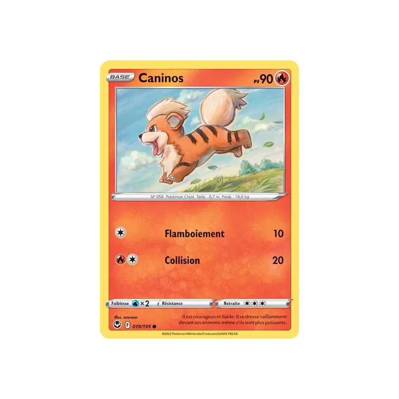 Caninos SIT - 019/195