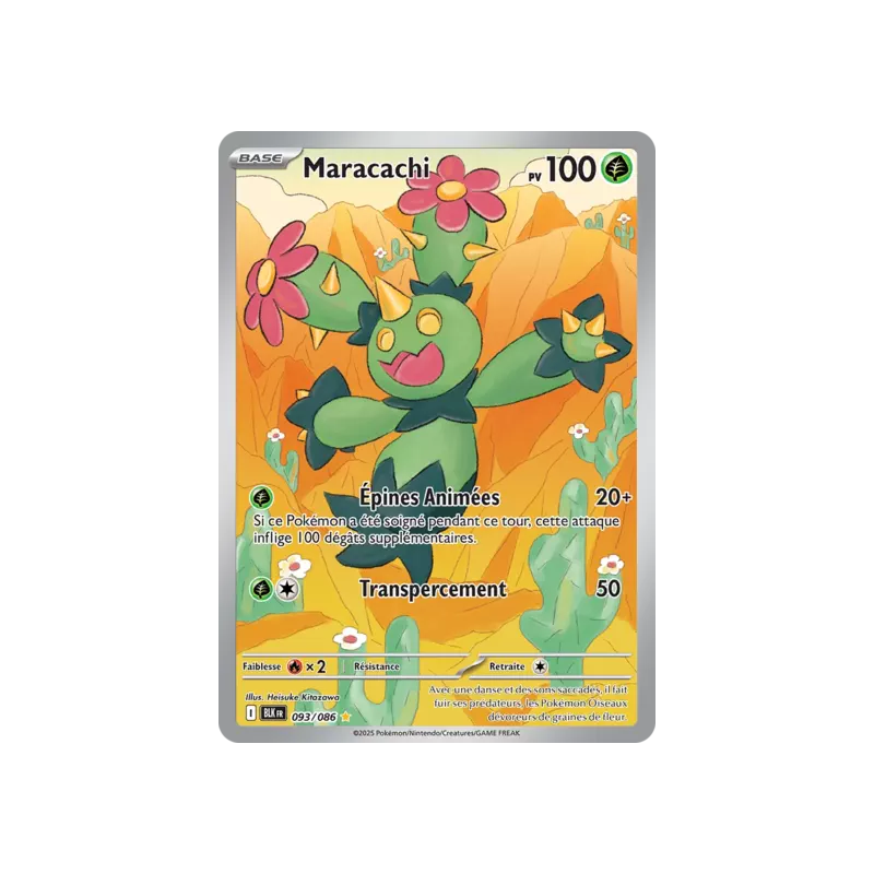 Maracachi BLK - 093/086