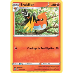 Braisillon SIT - 028/195