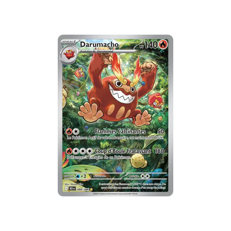 Darumacho BLK - 098/086