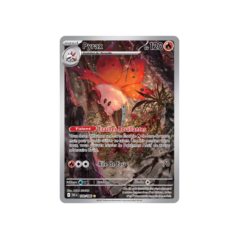 Pyrax BLK - 100/086