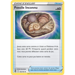 Fossile Inconnu SIT - 165/195