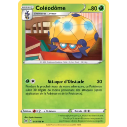 Coléodôme LOR - 019/196