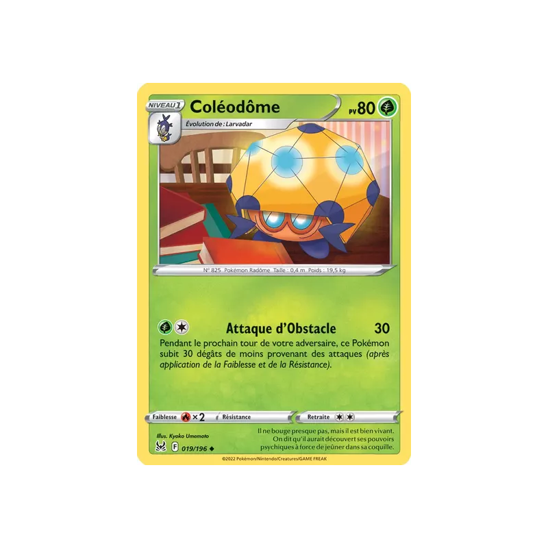 Coléodôme LOR - 019/196