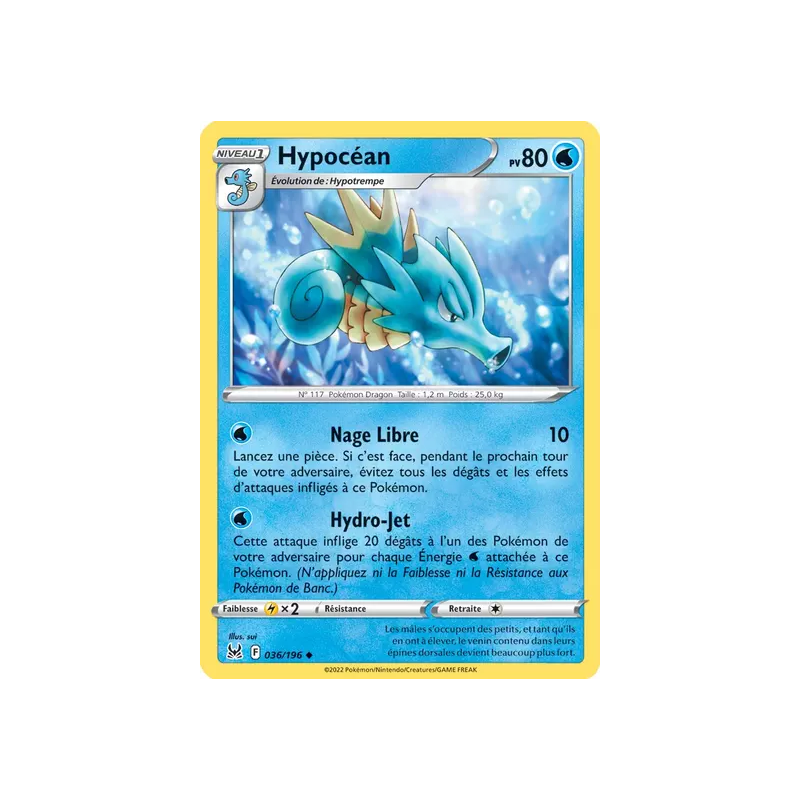 Hypocéan LOR - 036/196
