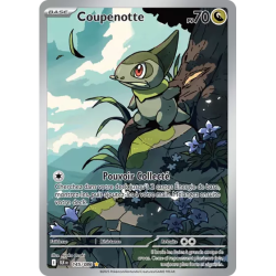 Coupenotte BLK - 145/086