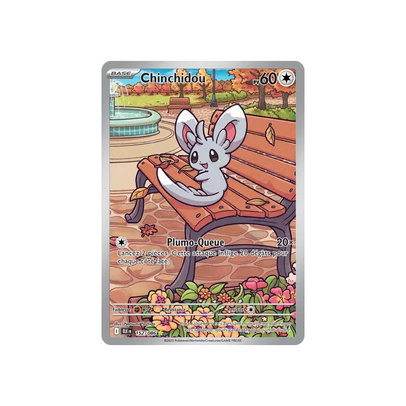 Chinchidou BLK - 152/086