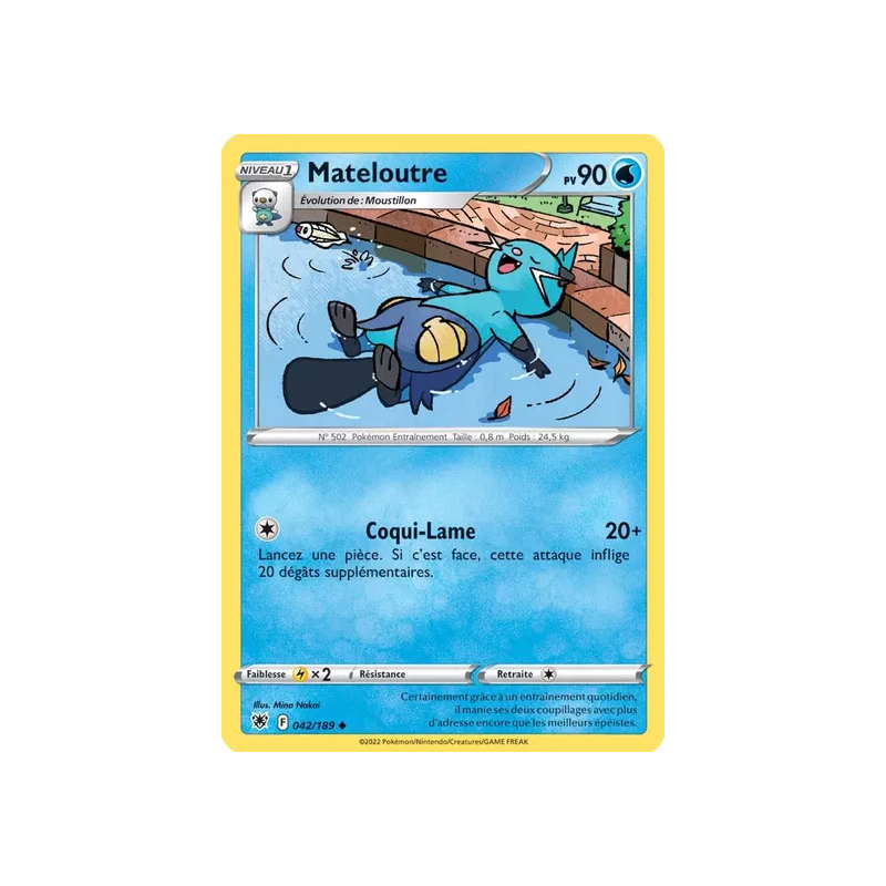 Mateloutre ASR - 042/189