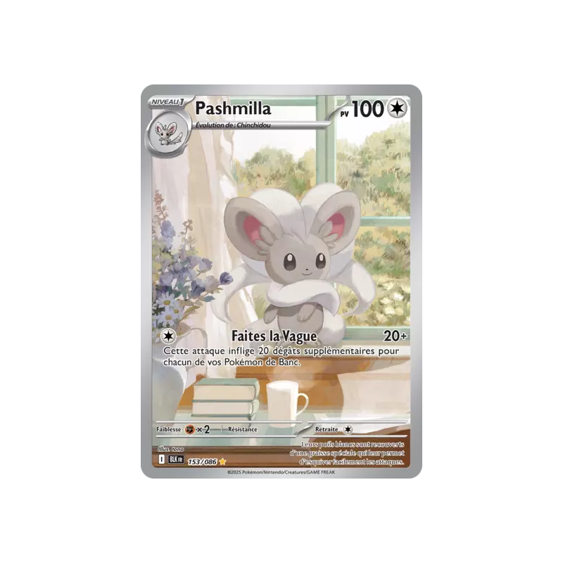 Pashmilla BLK - 153/086