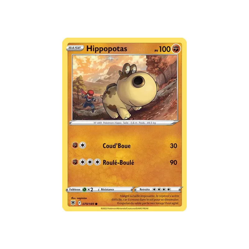 Hippopotas ASR - 079/189