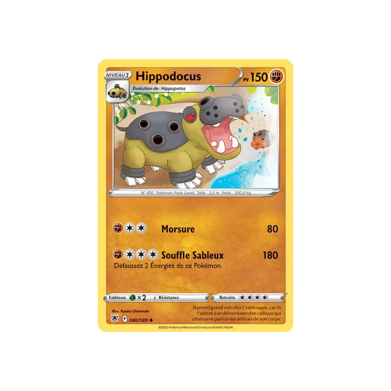 Hippodocus ASR - 080/189