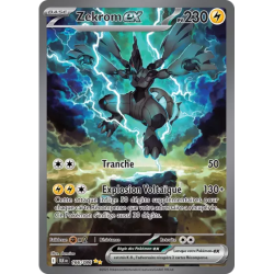 Zekrom BLK - 166/086