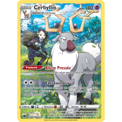Cerbyllin ASR - TG06/TG30