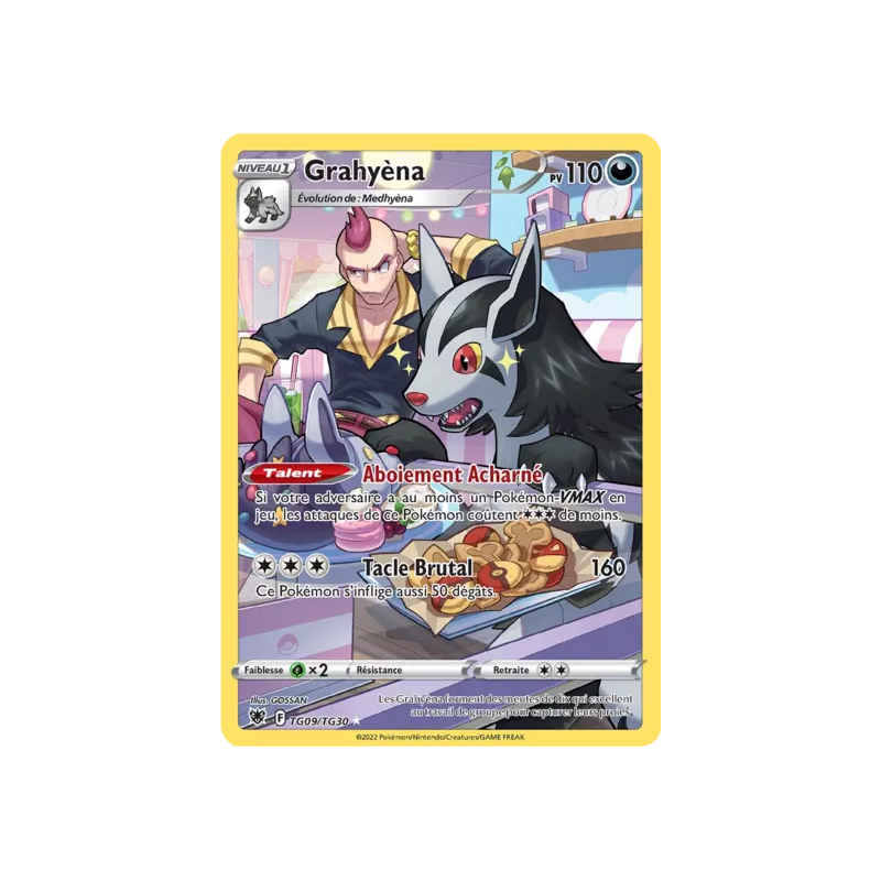 Grahyèna ASR - TG09/TG30