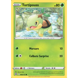 Tortipouss BRS - 006/172
