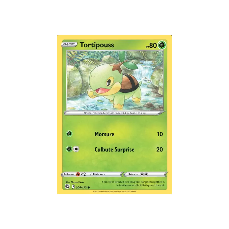 Tortipouss BRS - 006/172