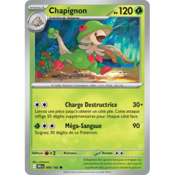 Chapignon DRI - 006/182