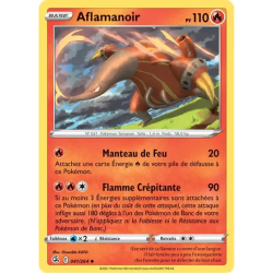 Aflamanoir FST - 041/264