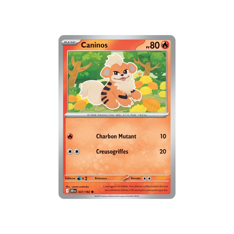 Caninos DRI - 027/182
