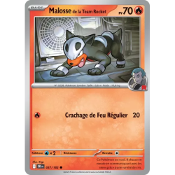 Malosse de la Team Rocket DRI - 037/182
