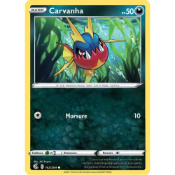 Carvanha FST - 162/264