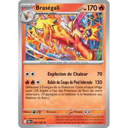 Braségali DRI - 042/182