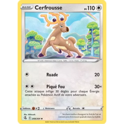 Cerfrousse FST - 208/264