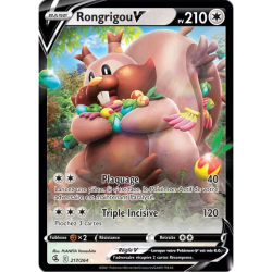 Rongrigou V FST - 217/264