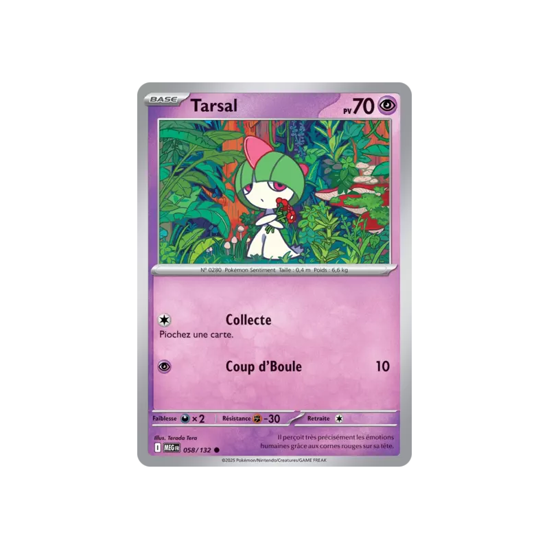 Tarsal MEG - 058/132