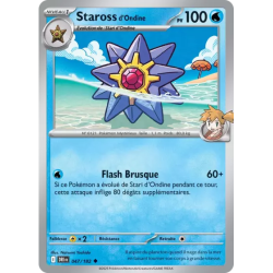 Staross d'Ondine DRI - 047/182