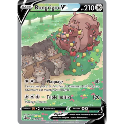 Rongrigou V FST - 257/264