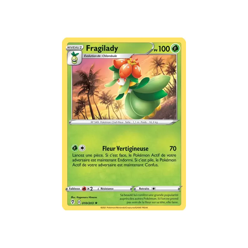 Fragilady EVS - 010/203