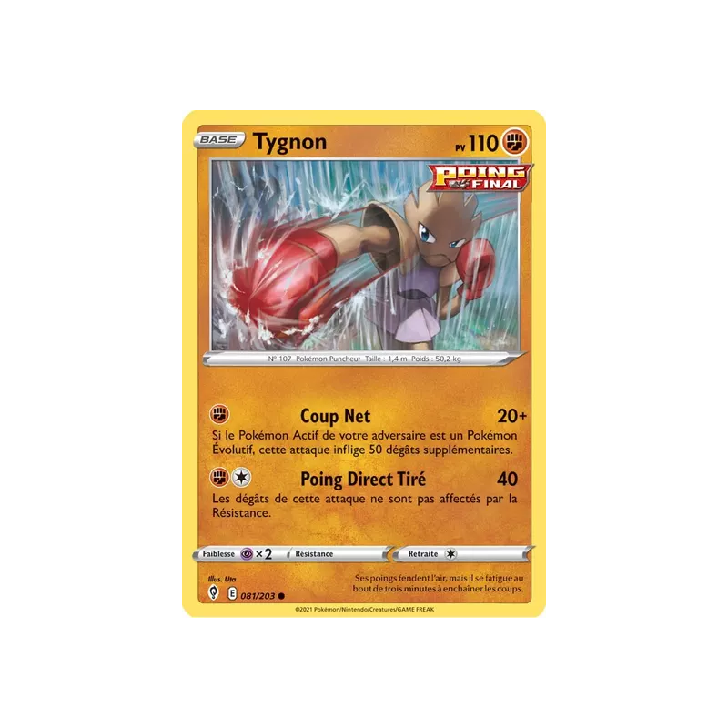 Tygnon EVS - 081/203