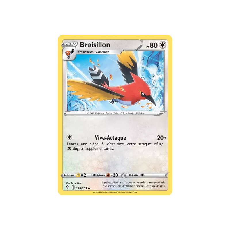 Braisillon EVS - 139/203