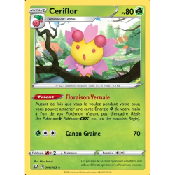 Ceriflor BST - 008/163