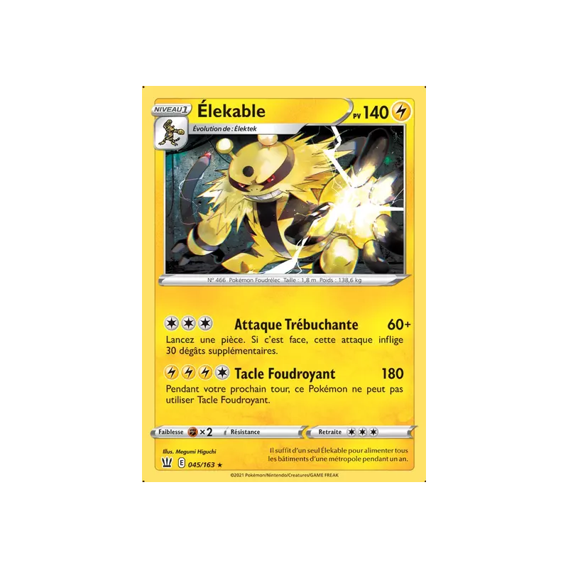Élekable BST - 045/163
