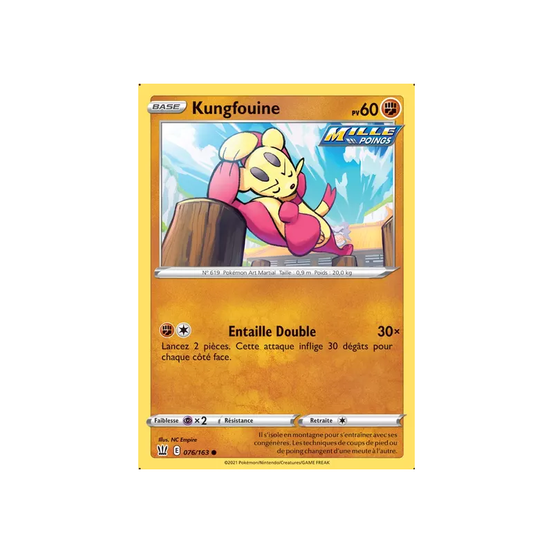 Kungfouine BST - 076/163
