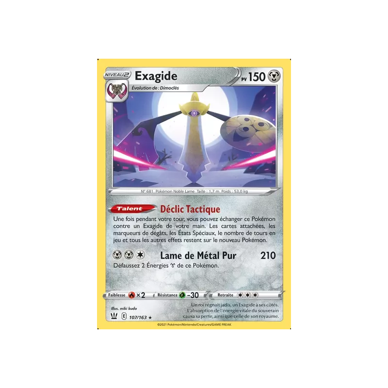Exagide BST - 107/163