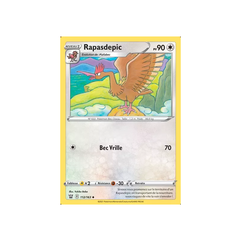 Rapasdepic BST - 112/163
