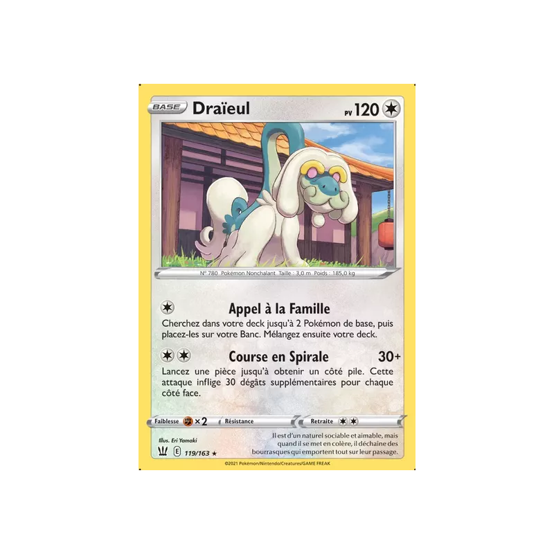 Draïeul BST - 119/163