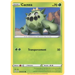 Cacnea SHF - 004/072