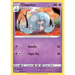 Chapotus CPA - 019/073